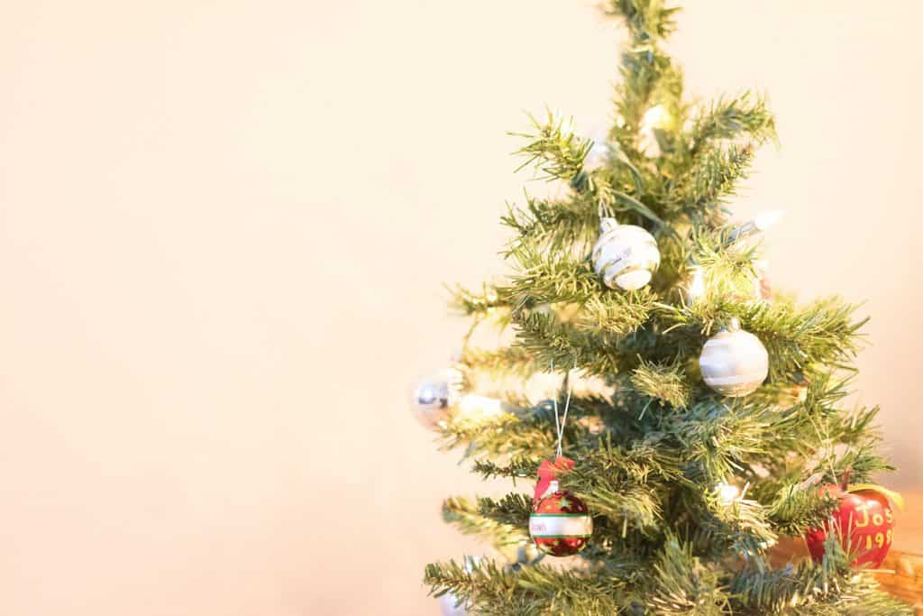 Kerstboom adopteren? Zo doe je dat! Blijtijds.nl